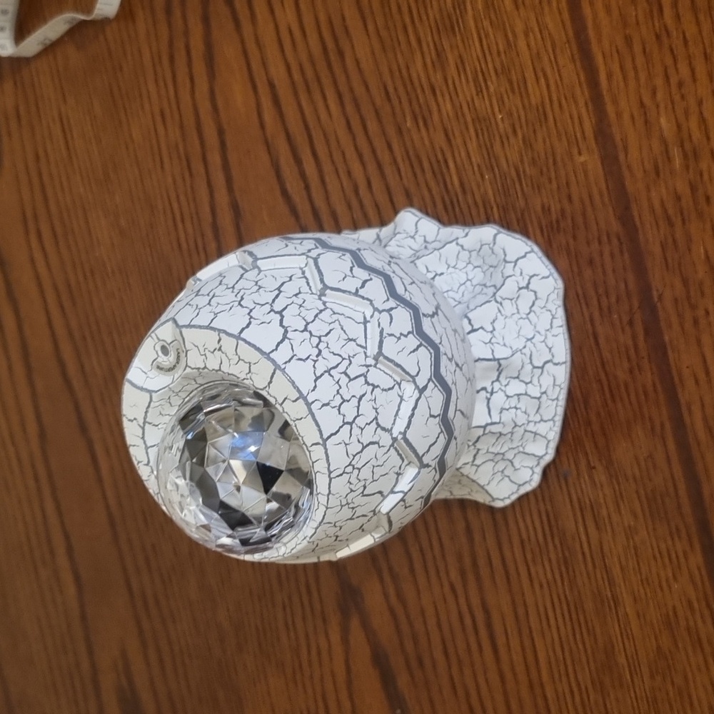 Rosetta galaxy projector
